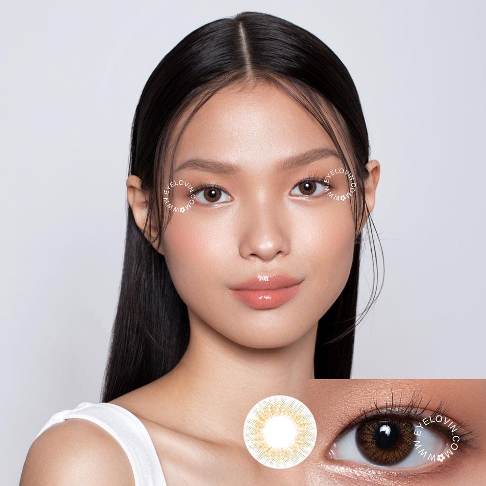 blush-brown-head.jpg0blush-brown1655734929.jpg